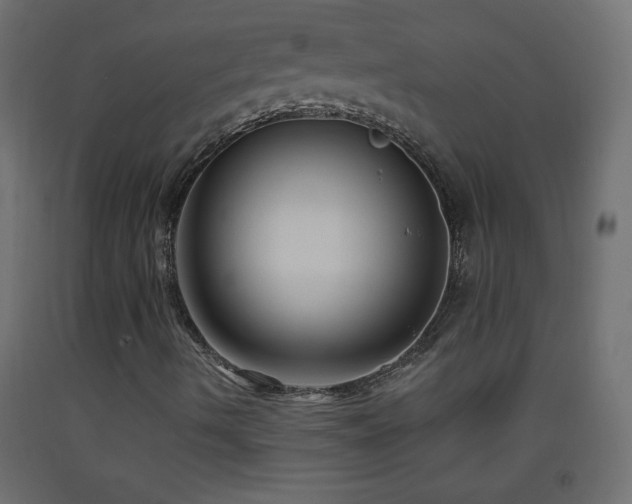 X0000093381490200710111444