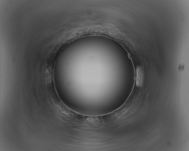 X0000093381491200710111444
