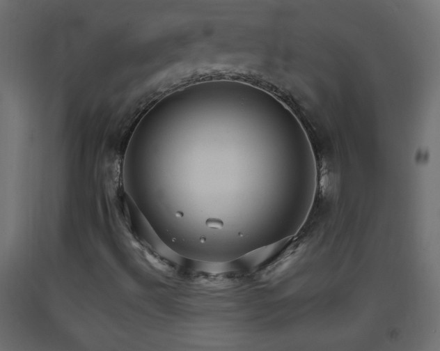 X0000093381492200710111444