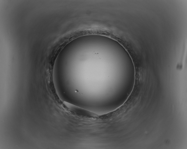 X0000093381493200710111444