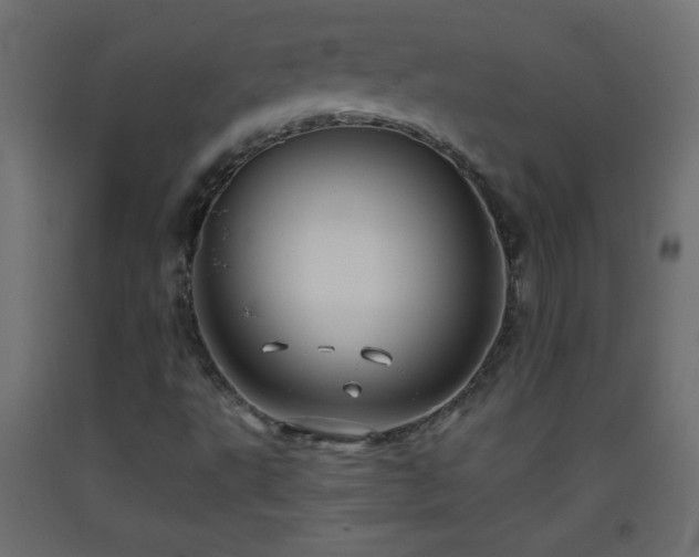 X0000093381495200710111444