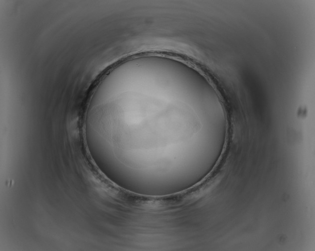 X0000093381497200710111444