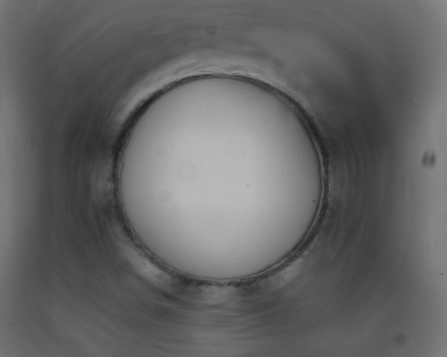 X0000093381498200710111444