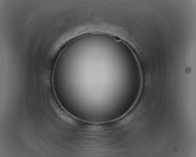 X0000093381499200710111444