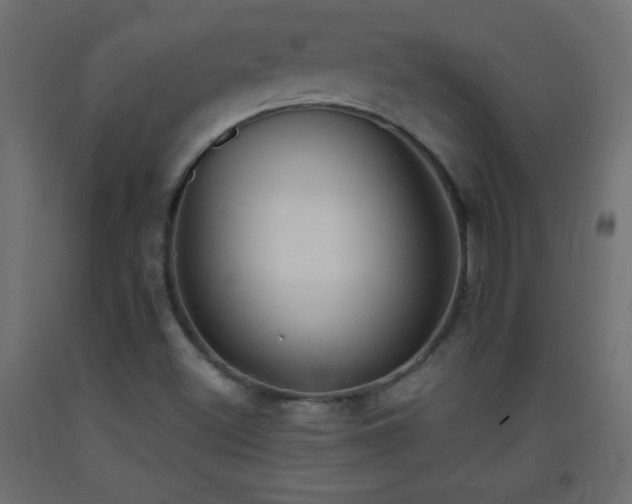 X0000093381500200710111444