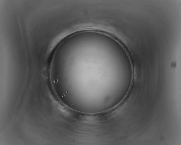 X0000093381501200710111444