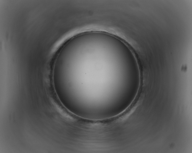 X0000093381502200710111444