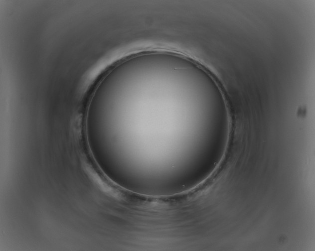 X0000093381503200710111444