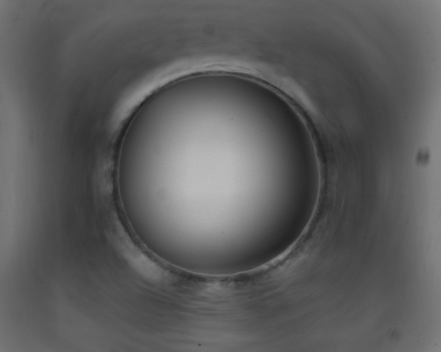 X0000093381504200710111444
