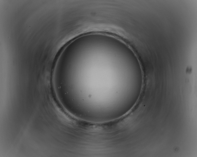 X0000093381505200710111444