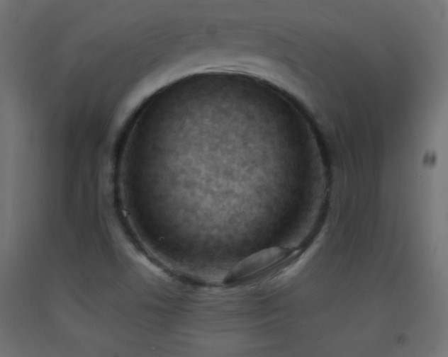X0000093381506200710111444