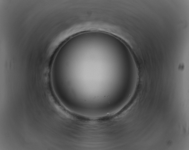 X0000093381507200710111444