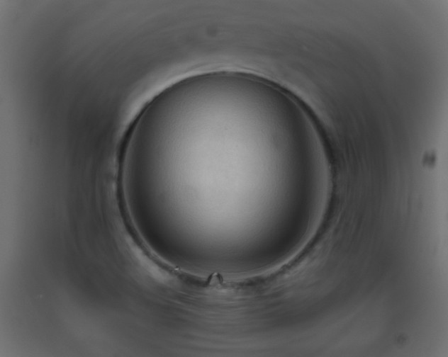 X0000093381508200710111444