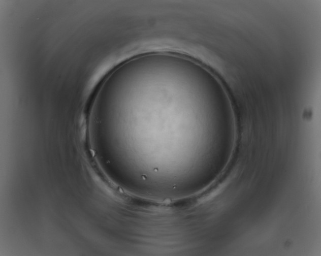 X0000093381509200710111444