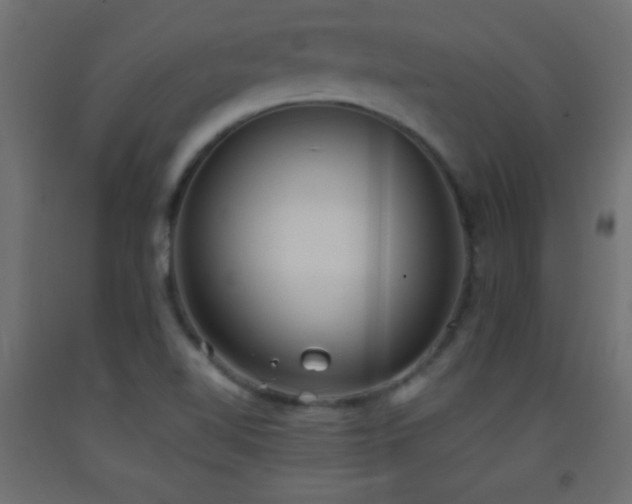 X0000093381510200710111444
