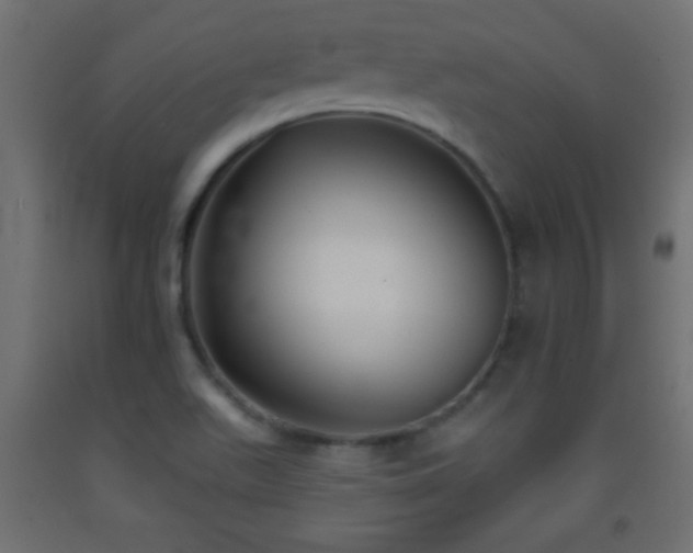 X0000093381511200710111444
