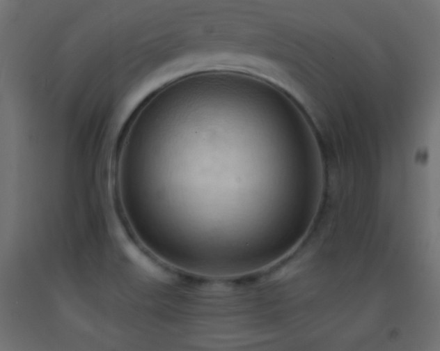 X0000093381515200710111444