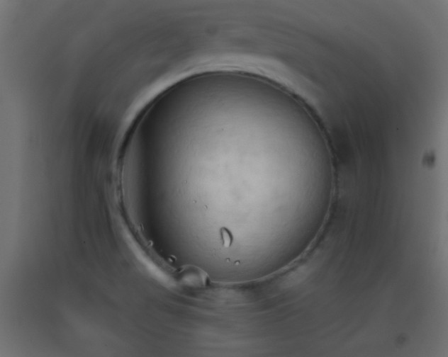 X0000093381517200710111444