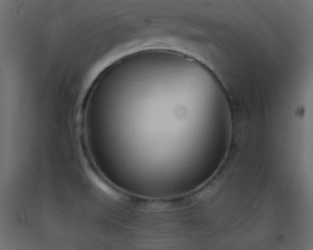 X0000093381519200710111444