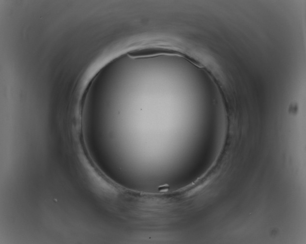 X0000093381520200710111444