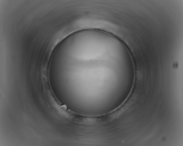 X0000093381521200710111444