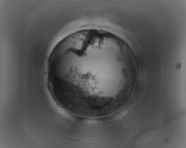 X0000093381522200710111444