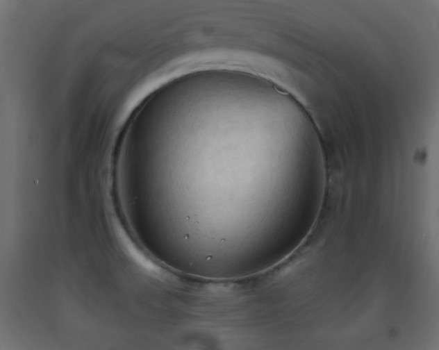 X0000093381523200710111444