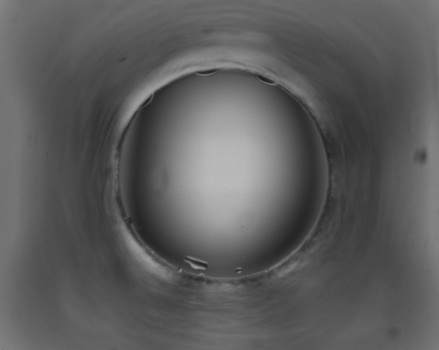 X0000093381524200710111444