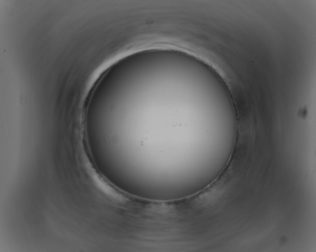 X0000093381526200710111444