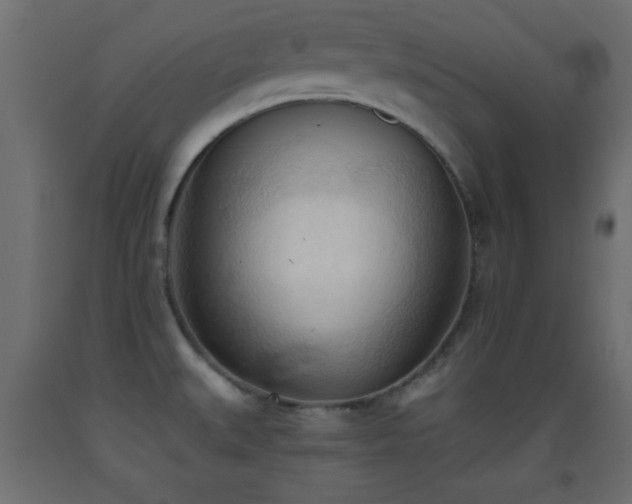 X0000093381527200710111444
