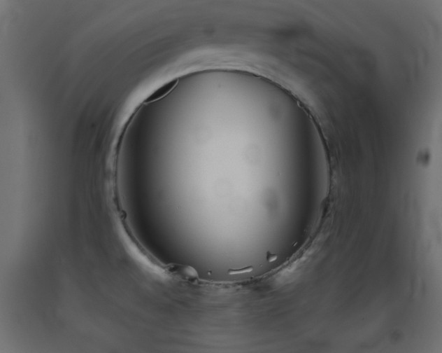 X0000093381528200710111444