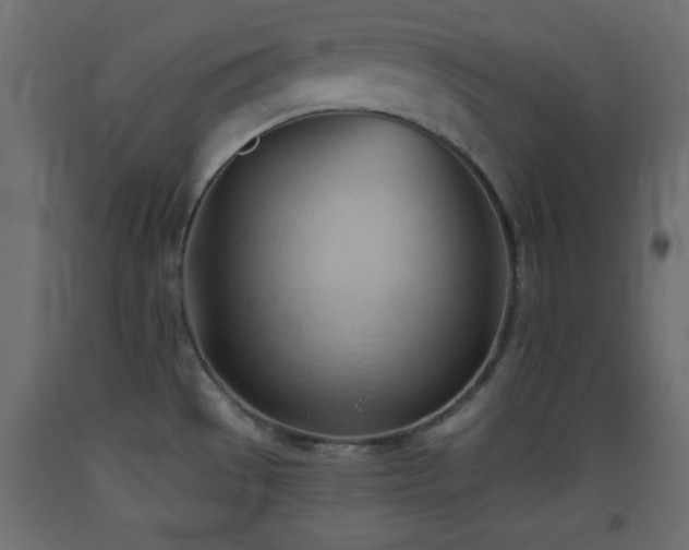 X0000093381529200710111444