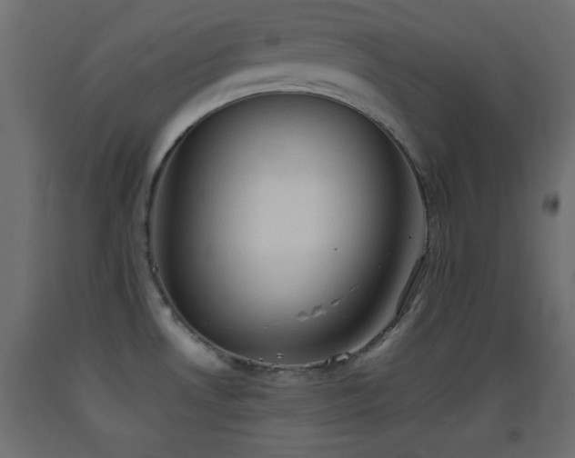 X0000093381530200710111444