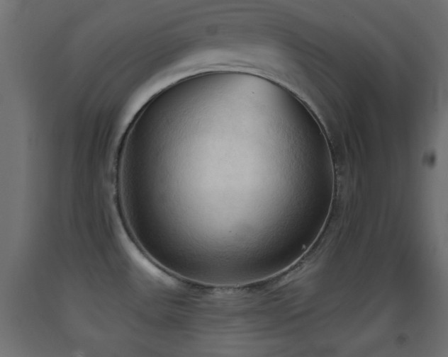 X0000093381531200710111444