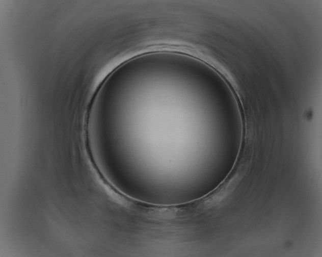 X0000093381533200710111444