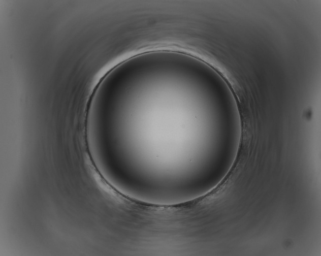 X0000093381534200710111444