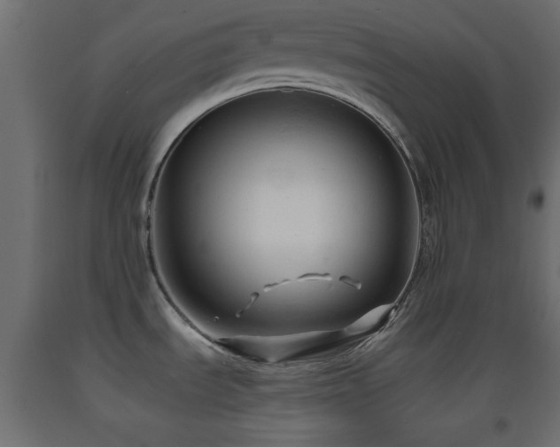 X0000093381535200710111444