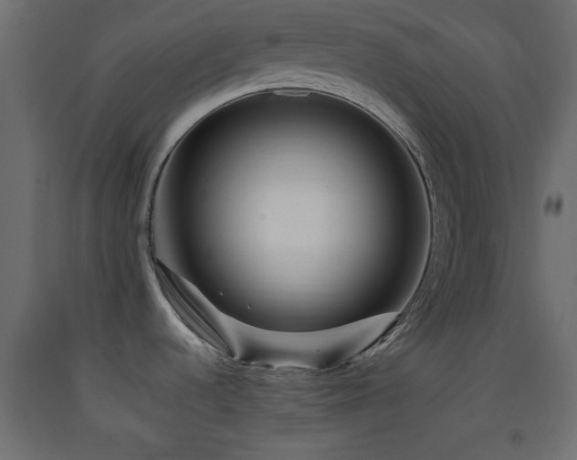 X0000093381536200710111444