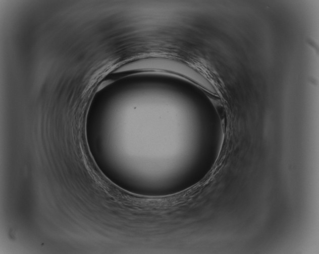 X0000093380001200710191143