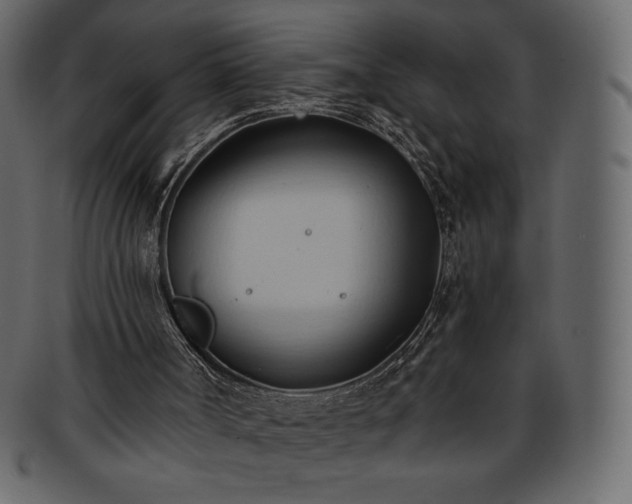 X0000093380002200710191143