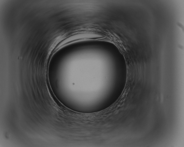 X0000093380003200710191143