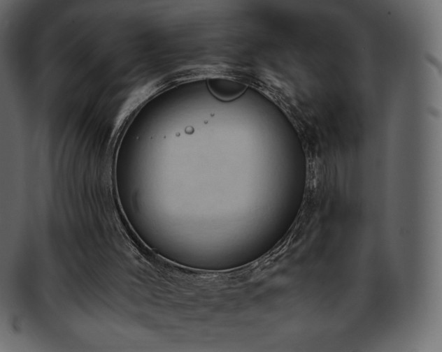 X0000093380004200710191143