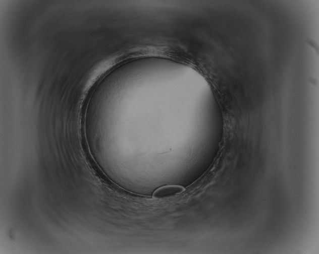 X0000093380006200710191143