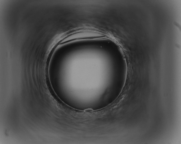 X0000093380007200710191143