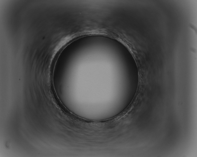 X0000093380008200710191143