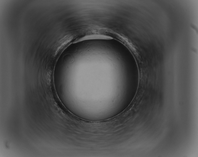 X0000093380010200710191143