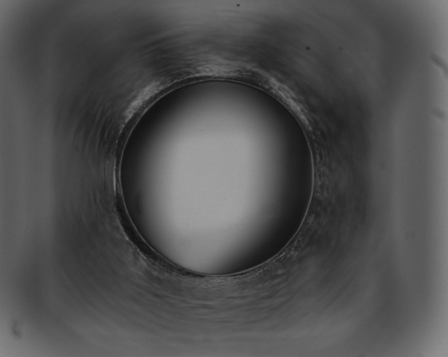 X0000093380011200710191143