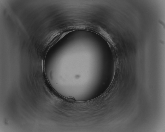 X0000093380013200710191143