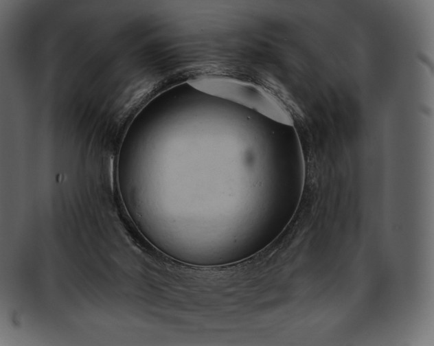 X0000093380014200710191143