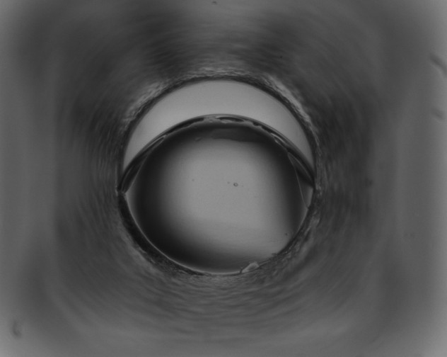 X0000093380019200710191143